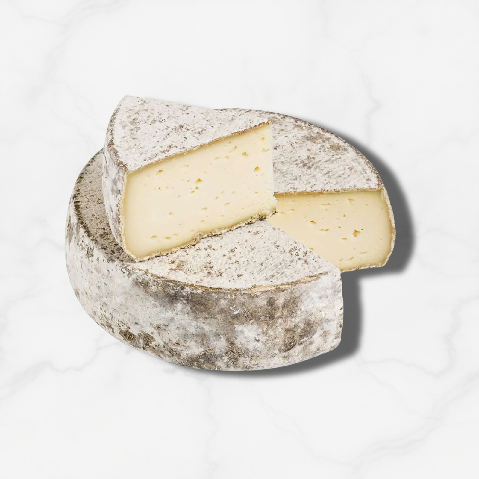 VERDANNET TOMME DE SAVOIE